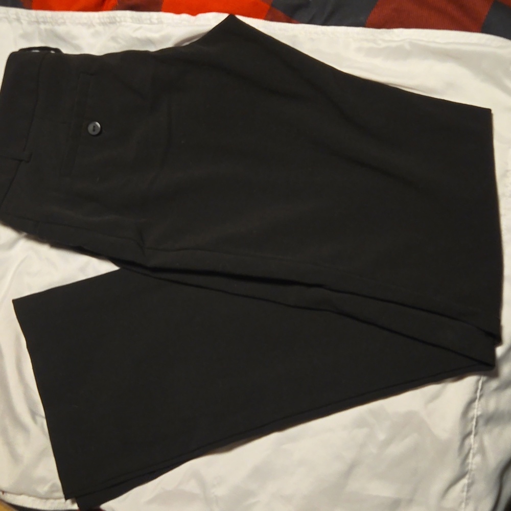 Dress pants